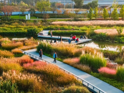 秋光為伴，我們與張村河共繪新景