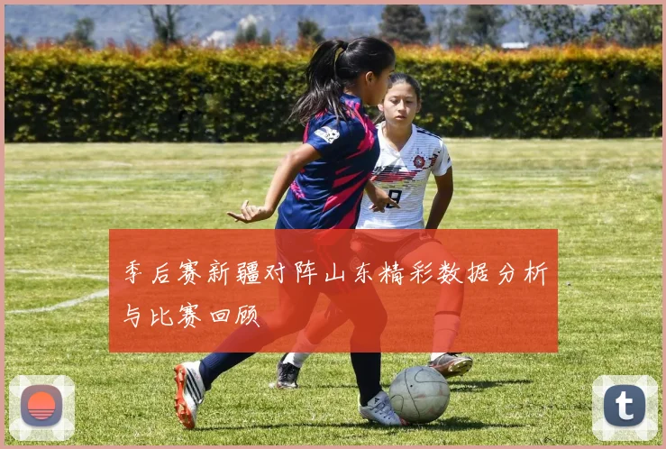 季后赛新疆对阵山东精彩数据分析与比赛回顾