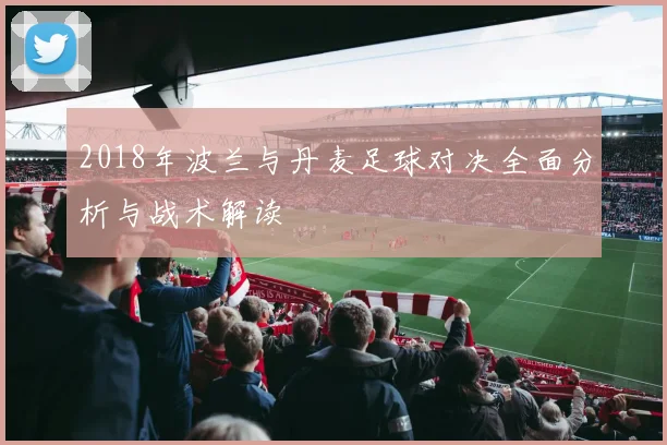 2018年波兰与丹麦足球对决全面分析与战术解读